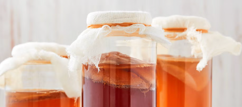 Why Kombucha Slaps: The Lowdown on This Fizzy Gut-Loving Drink